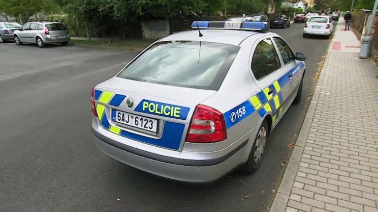 Policie v akci (25) Policie v akci (25)