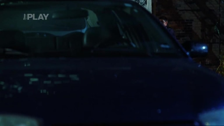Policejní bažanti I (8) Policejní bažanti I (8)