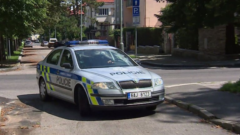 Policie v akci (33) Policie v akci (33)