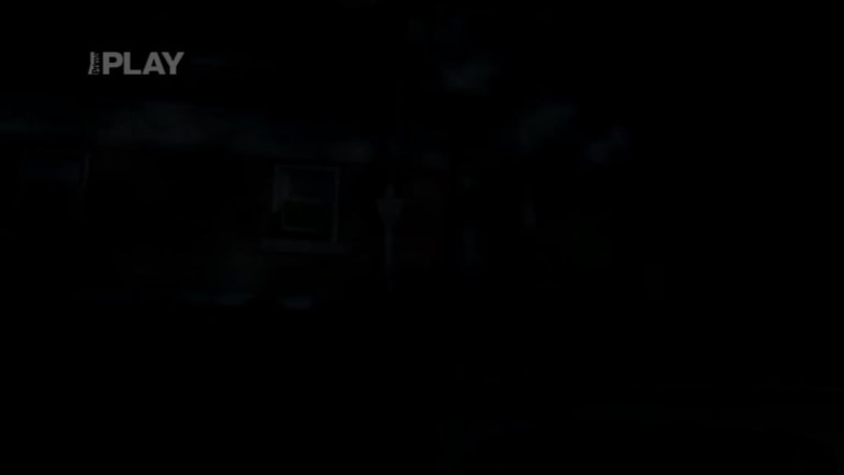 Policejní bažanti I (4) Policejní bažanti I (4)