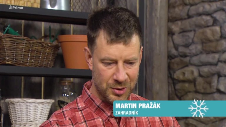 Receptář prima nápadů 2019 (3): Jahodový stromek Receptář prima nápadů 2019 (3): Jahodový stromek