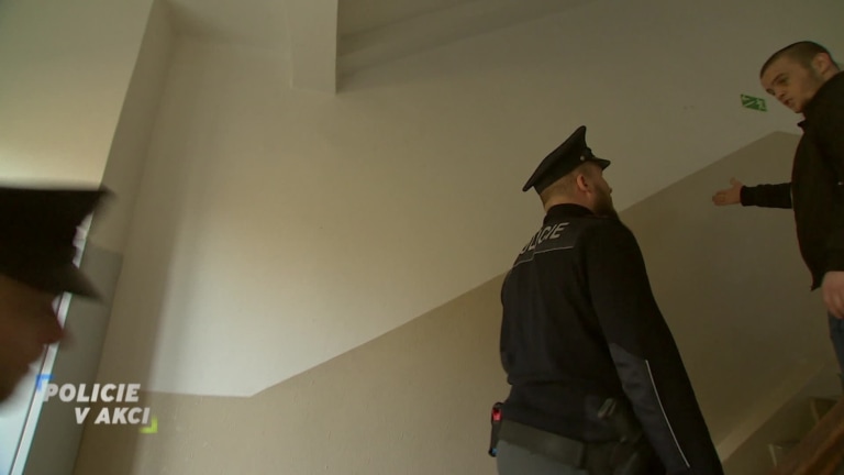 Policie v akci II (239) Policie v akci II (239)