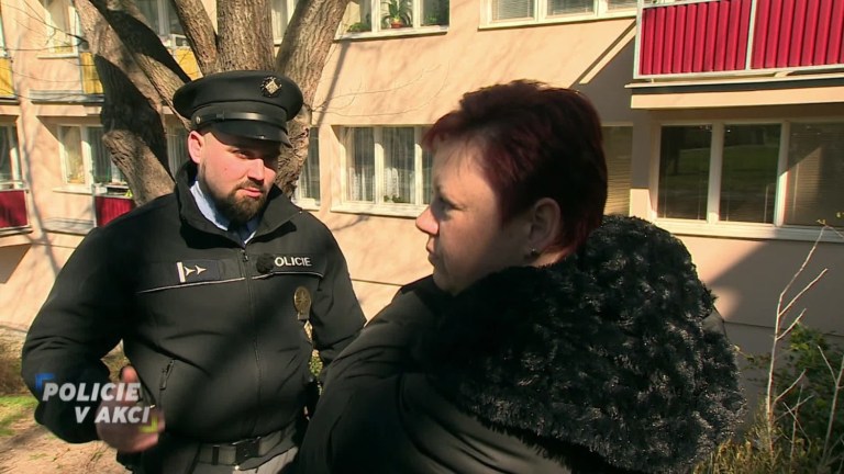Policie v akci II (249) Policie v akci II (249)