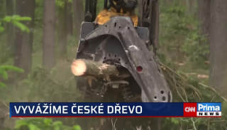 Česko vyváží surové dřevo