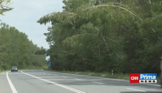 Nebezpečné stromy u silnic