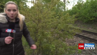 Strážnici z Hluboké nad Vltavou našli malé děti v lesní chatě