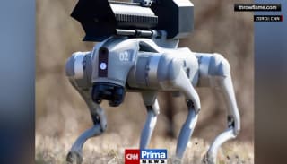 Robotický pes s plamenometem fascinuje svět, cena vás překvapí
