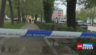 Pobodaná žena v Plzni zemřela