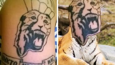 Šílené faily v tetování 3 Šílené faily v tetování 3