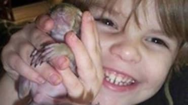 Dojemný příběh veverky 1 Dojemný příběh veverky 1