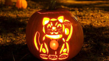 Všechny halloweenské dýně nemusí být jenom strašidelné. Všechny halloweenské dýně nemusí být jenom strašidelné.