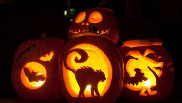 A něco k halloweenské tématice: netopýři a naježená kočka. A něco k halloweenské tématice: netopýři a naježená kočka.