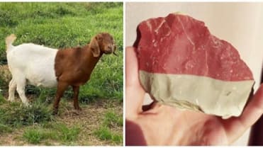 Když si příroda hraje s barvami. Když si příroda hraje s barvami.