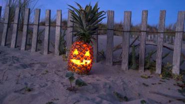 Kdo by nechtěl tropický Halloween? Kdo by nechtěl tropický Halloween?