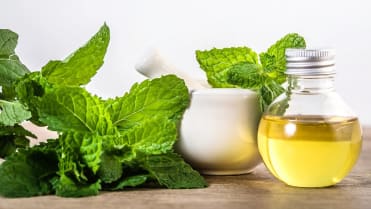 10 bylin proti podzimní depresi, únavě a stresu: mátový olej, kterým si potíráme spánky, pomáhá při stresových stavech 10 bylin proti podzimní depresi, únavě a stresu: mátový olej, kterým si potíráme spánky, pomáhá při stresových stavech