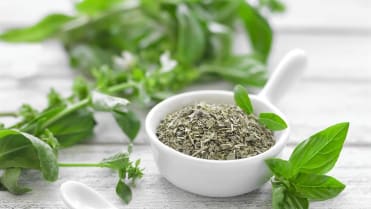 Byliny, které vládnou české kuchyni: bazalka má aromatickou vůni a silnou, peprně kořenitou chuť Byliny, které vládnou české kuchyni: bazalka má aromatickou vůni a silnou, peprně kořenitou chuť