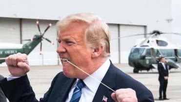 Trumpův šílený pozdrav 2 Trumpův šílený pozdrav 2