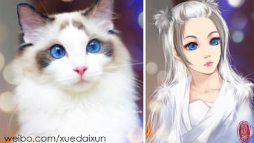 Vidíte tam tu podobu? Vidíte tam tu podobu?