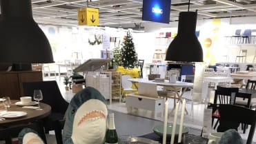 Žralok BLÅHAJ Žralok BLÅHAJ