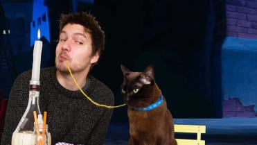 Lady a Tramp Lady a Tramp