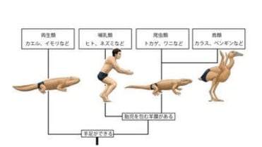 Práce Satoshiho Kawasakiho Práce Satoshiho Kawasakiho