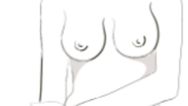 Zvonovitá - jsou úzká v horní části a velmi široká ve spodní. Je jen na vás, kdo vaše zvonečky rozezní. Zvonovitá - jsou úzká v horní části a velmi široká ve spodní. Je jen na vás, kdo vaše zvonečky rozezní.