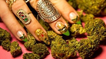 Marihuana na nehtech Marihuana na nehtech