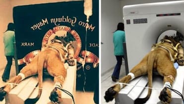 Neskákejte na špek Neskákejte na špek