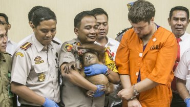 Rus pašoval mládě orangutana 4 Rus pašoval mládě orangutana 4