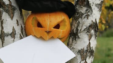 A jsme opět u dekorací. Všimněte si, že dýně samotná je vyřezaná velmi jednoduše. A jsme opět u dekorací. Všimněte si, že dýně samotná je vyřezaná velmi jednoduše.