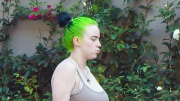 Billie Eilish (18) Billie Eilish (18)