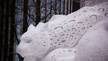 Sochy udělané ze sněhu...no není to nádhera? - Obrázek 6 Sochy udělané ze sněhu...no není to nádhera? - Obrázek 6