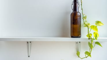 Většinu pokojových rostlin můžete pěstovat jen tak ve vodě... Většinu pokojových rostlin můžete pěstovat jen tak ve vodě...