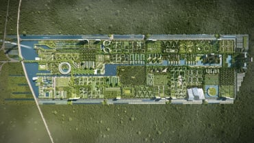 Ve městě bude růst 260 tisíc stromů Ve městě bude růst 260 tisíc stromů