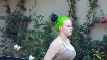 Billie Eilish (18) Billie Eilish (18)