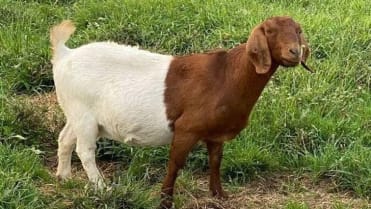 Když si příroda hraje s barvami. Když si příroda hraje s barvami.