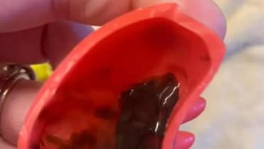 Plesnivé dětské hračky určené do vody 2 Plesnivé dětské hračky určené do vody 2