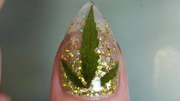 Marihuana na nehtech Marihuana na nehtech