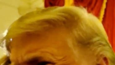 Donald Trump na deset způsobů Donald Trump na deset způsobů