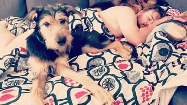 Nyní už nebudou mít v domácnosti pouze psy. Nyní už nebudou mít v domácnosti pouze psy.