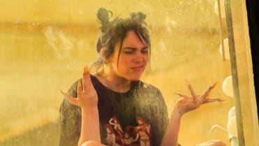 Billie Eilish (18) Billie Eilish (18)