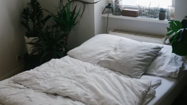 Pokojové rostliny nemusí být jen v obývácích, hodí se i do ložnic! Pokojové rostliny nemusí být jen v obývácích, hodí se i do ložnic!