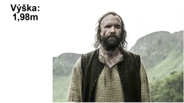 Ohař (Rory McCann) Ohař (Rory McCann)