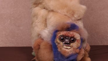 Psi v šílených převlecích 4 Psi v šílených převlecích 4