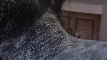 Líbí se vám tento styl tetování? Líbí se vám tento styl tetování?