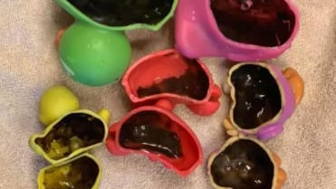Plesnivé dětské hračky určené do vody 4 Plesnivé dětské hračky určené do vody 4