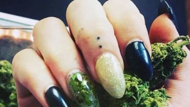 Marihuana na nehtech Marihuana na nehtech