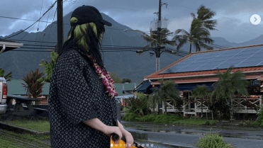 Billie Eilish (18) Billie Eilish (18)