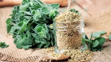 10 bylin proti podzimní depresi, únavě a stresu: čerstvá i sušená dobromysl (oregano) se přidává do zklidňujících koupelí 10 bylin proti podzimní depresi, únavě a stresu: čerstvá i sušená dobromysl (oregano) se přidává do zklidňujících koupelí