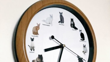 Úlovky ze sekáčů 5 Úlovky ze sekáčů 5